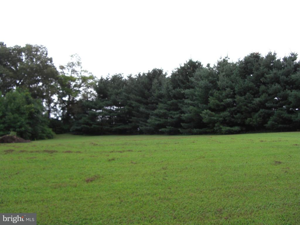 0 Pilottown Road Peach Bottom, PA 17563 - Photo 1 of 2