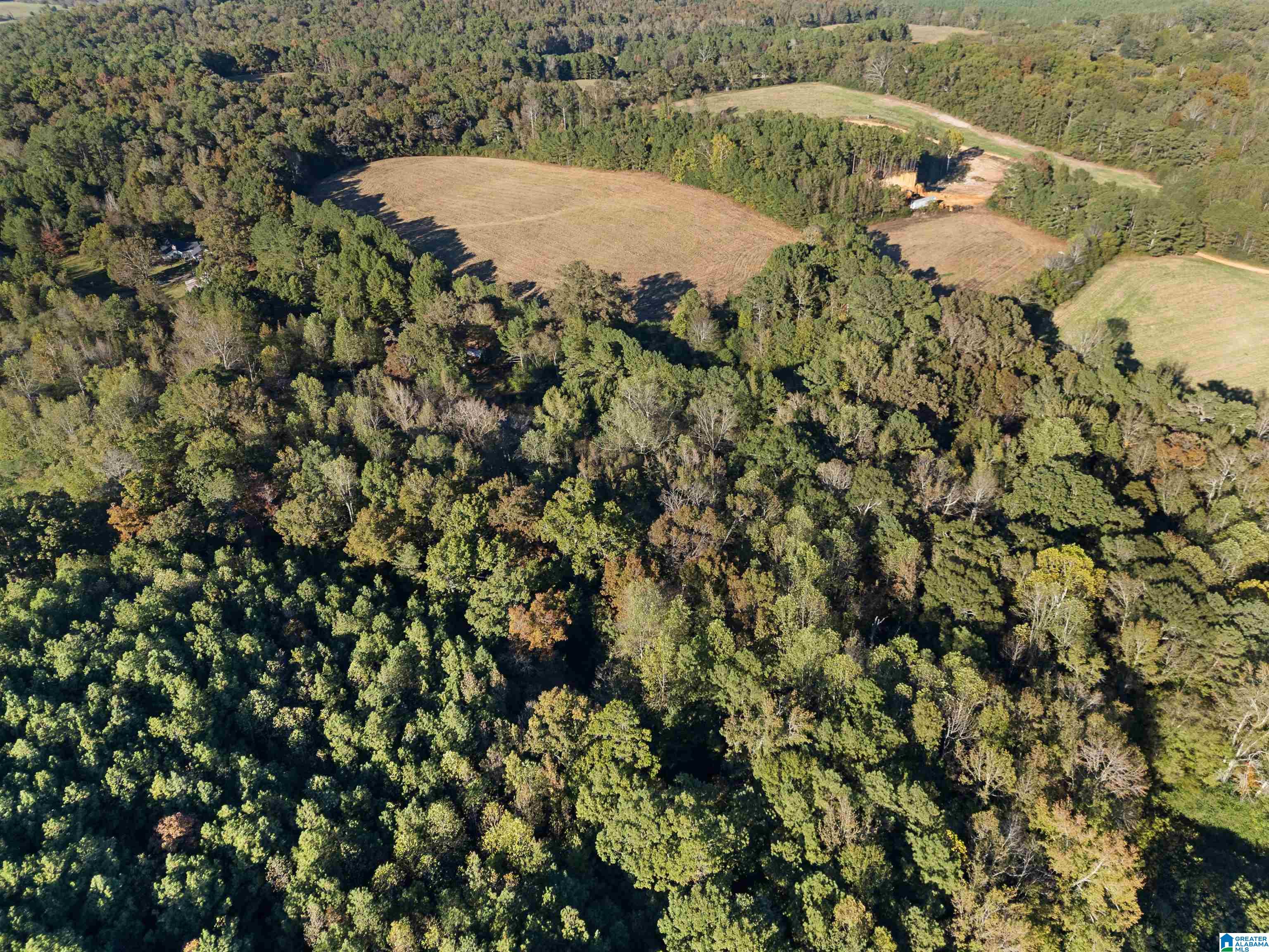 550 Hale Creek Road Altoona, AL 35952 - Photo 48 of 54