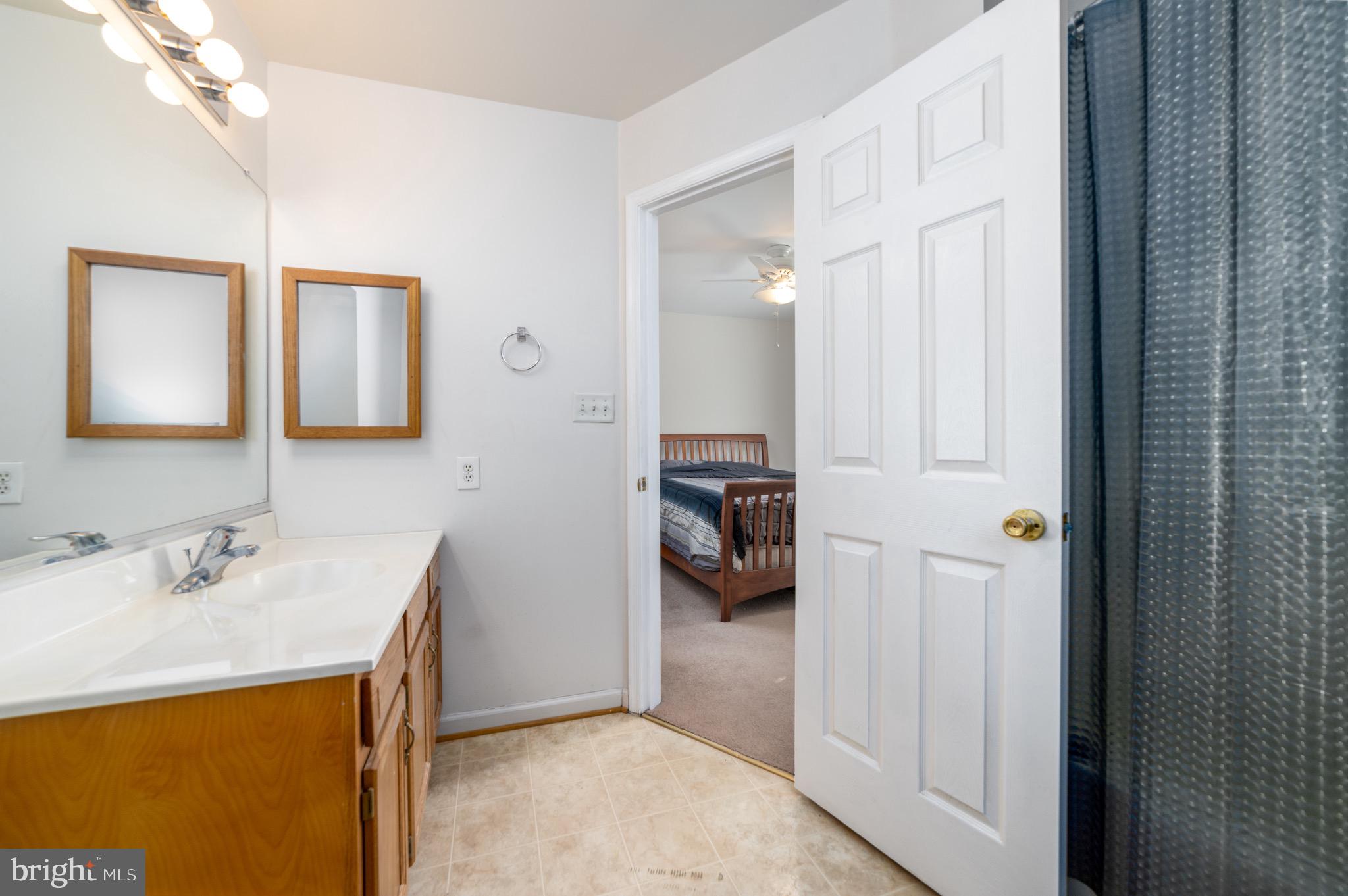 123 North Marshall Street Ranson, WV 25438 - Photo 21 of 28 Master bath