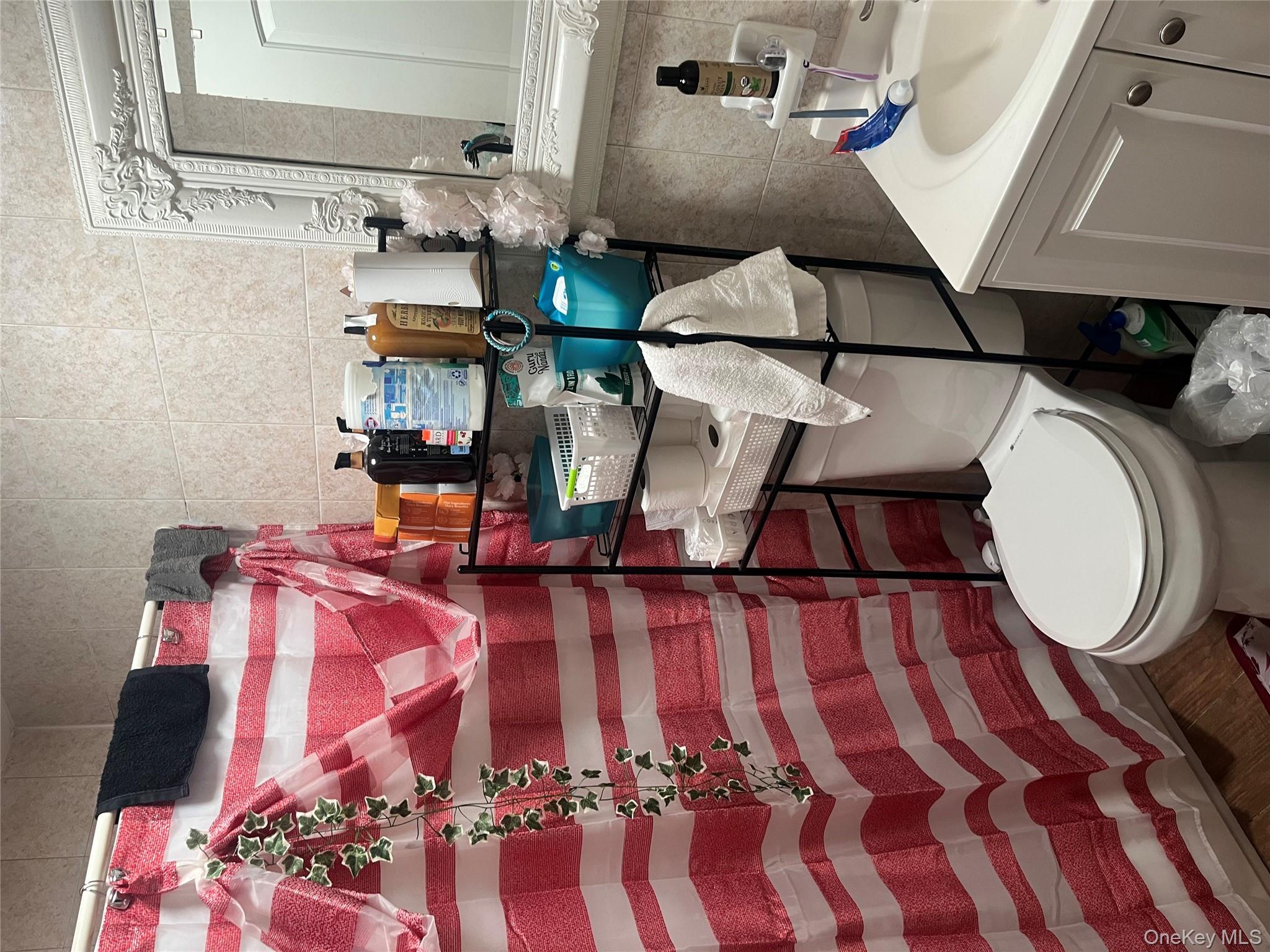 137-15 220th Place Queens, NY 11413 - Photo 19 of 28 a bathroom with a sink toilet and mirror