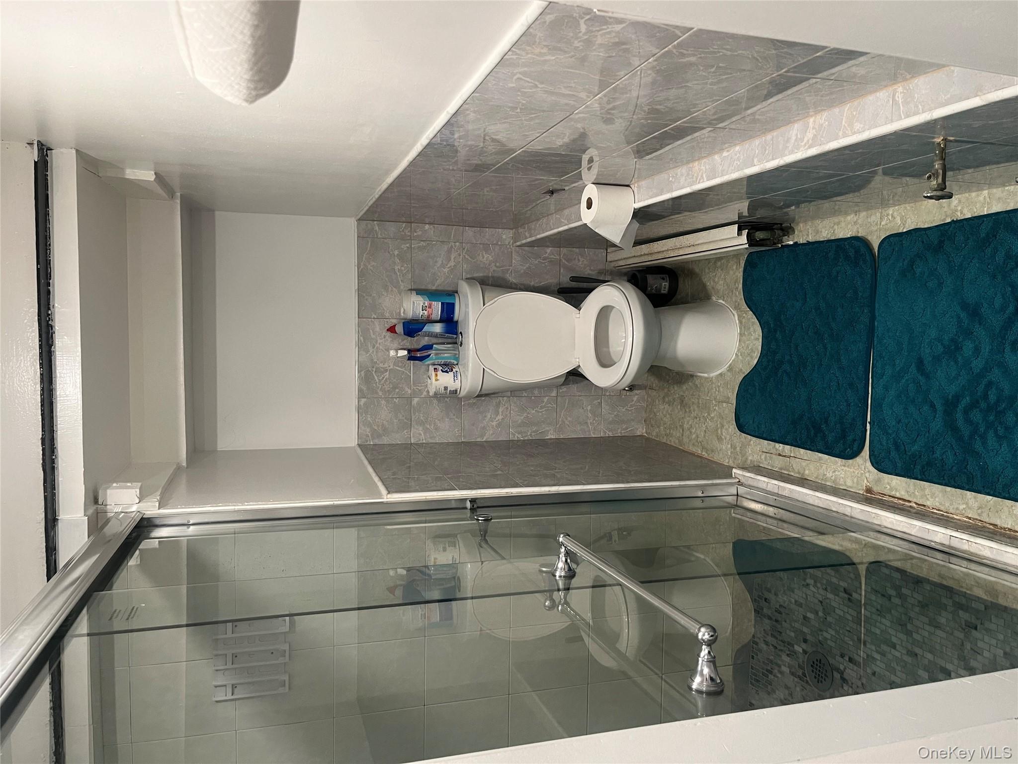 137-15 220th Place Queens, NY 11413 - Photo 23 of 28 a bathroom with a toilet and a shower