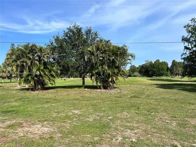a view of a field with trees