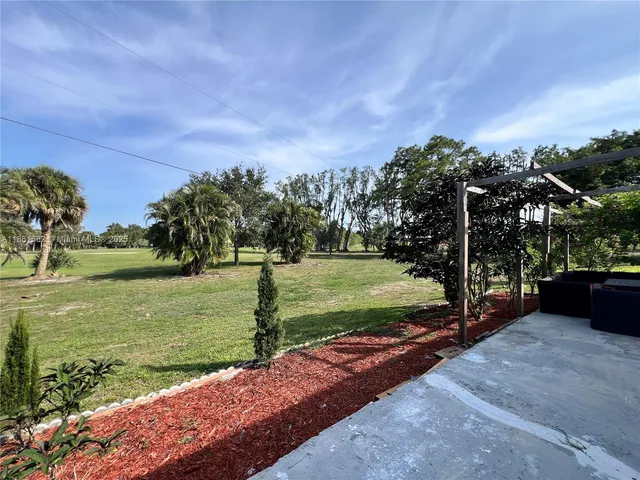 a view of a park with large trees