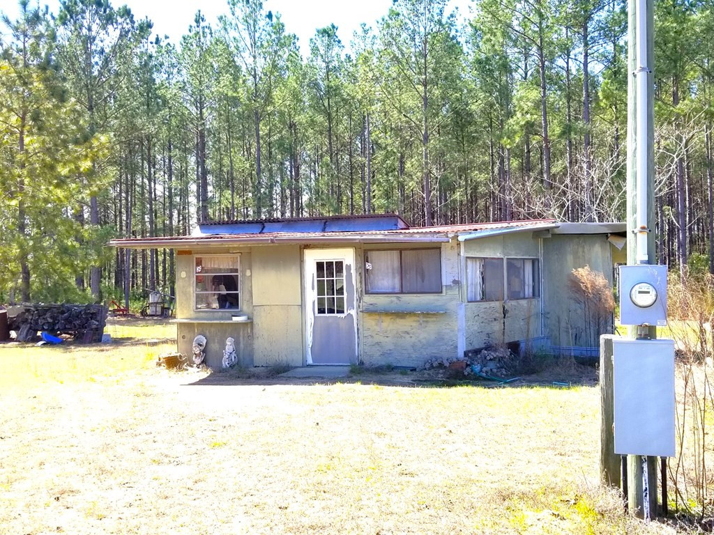 202 Backforty Road Elloree, SC 29047 - Photo 42 of 68