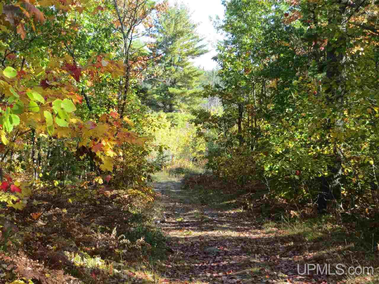 Tbd Co Rd Ff Republic, MI 49879 - Photo 1 of 29