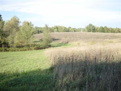 Johnson Road Middleville, MI 49333 - Photo 1 of 2 Primary Photo