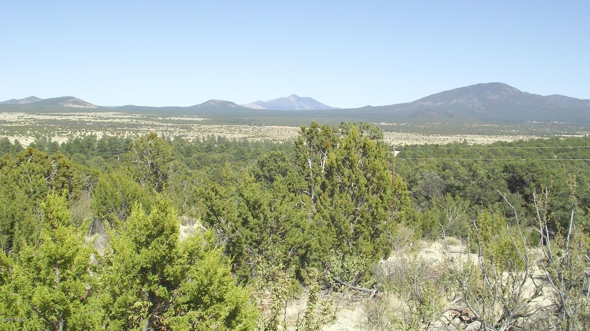 1 East Spring Valley Road Williams, AZ 86046 - Photo 4 of 6 DSCF0900