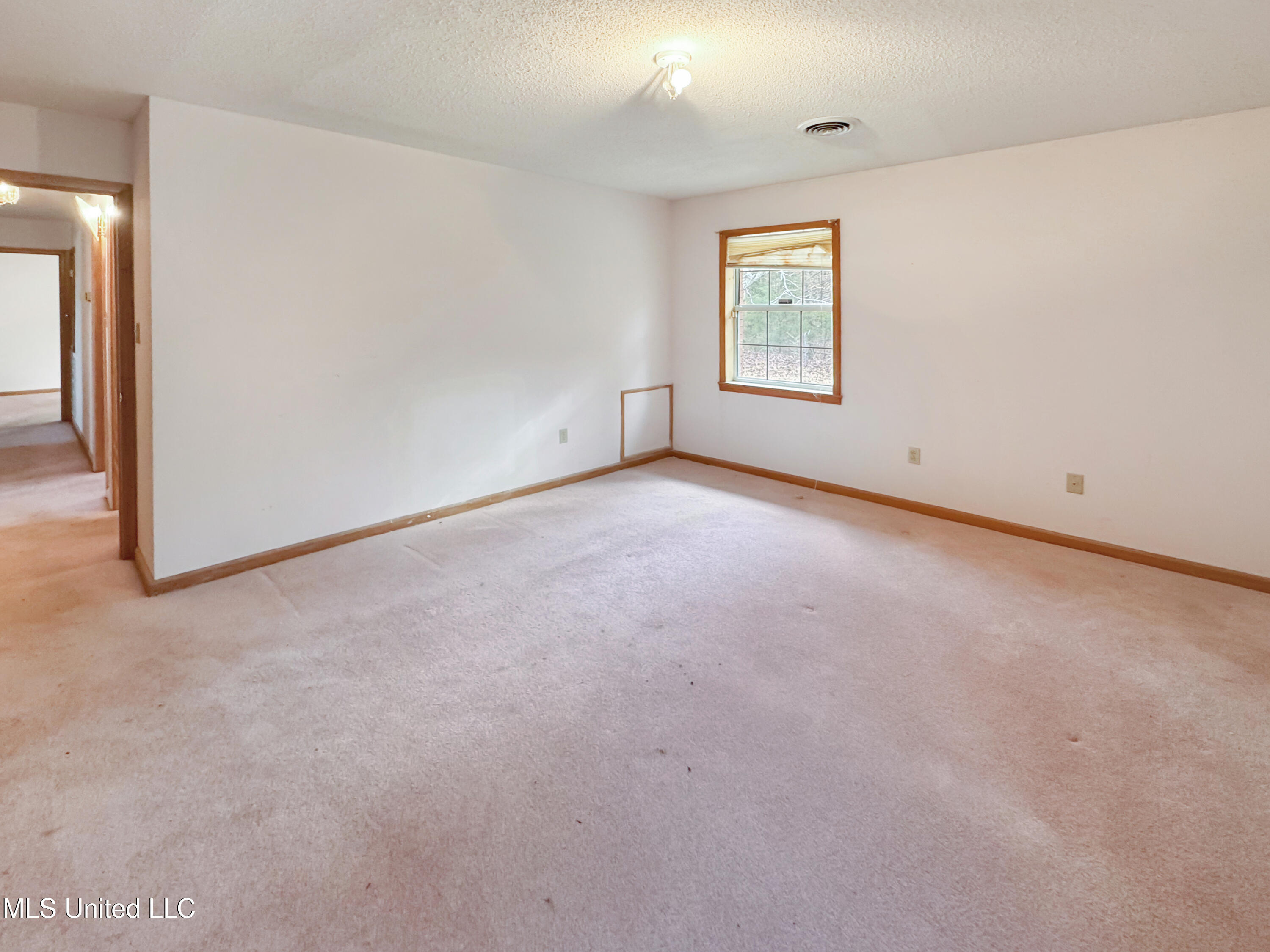 237 Liles Road Holly Springs, MS 38635 - Photo 13 of 22 IMG_1763