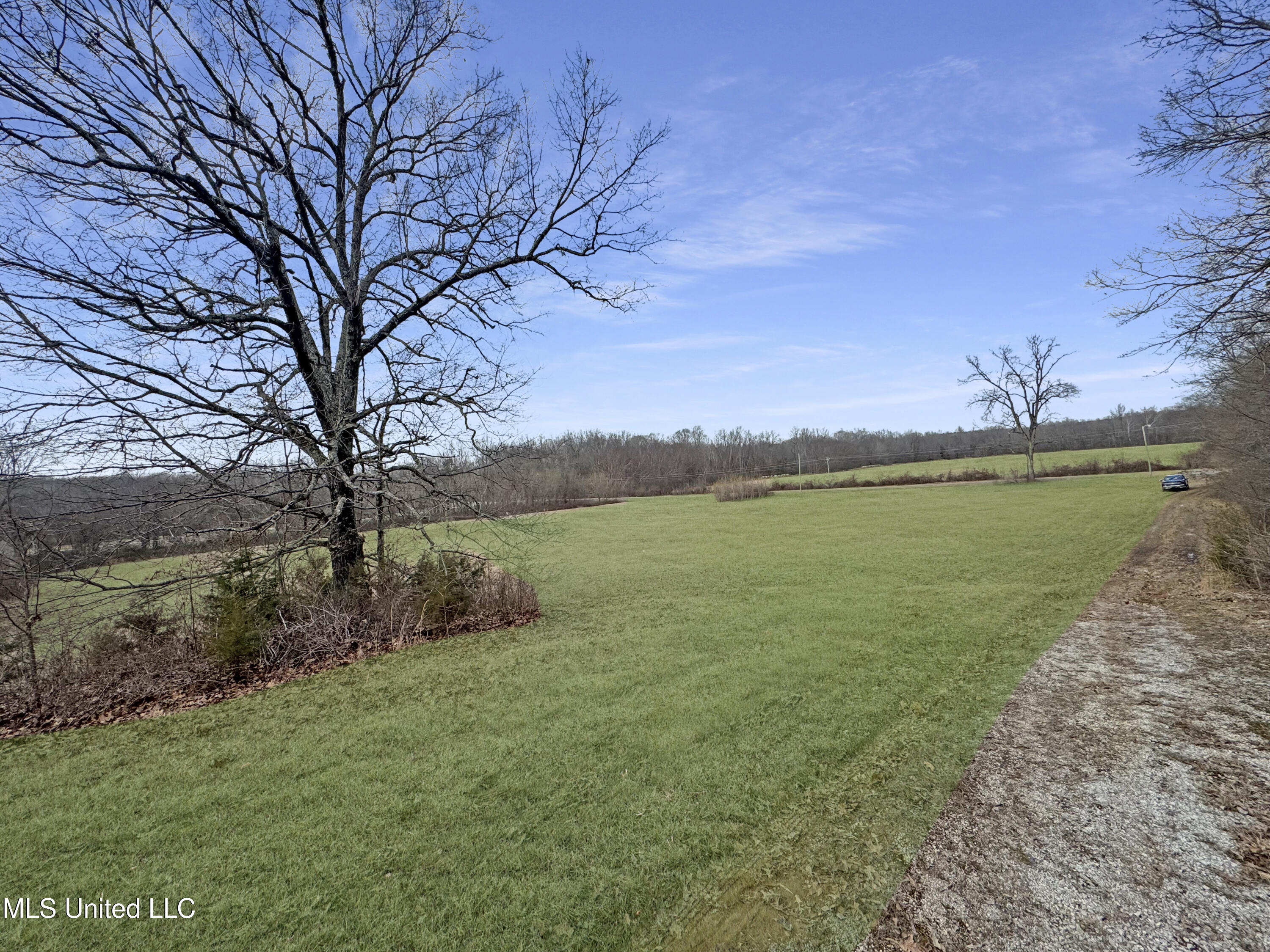 237 Liles Road Holly Springs, MS 38635 - Photo 15 of 22 IMG_1744