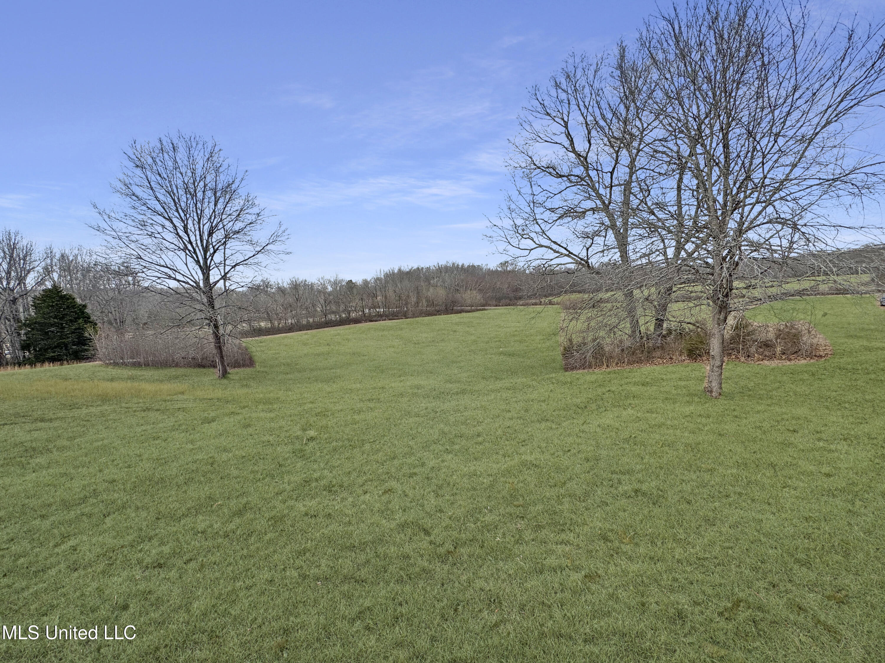 237 Liles Road Holly Springs, MS 38635 - Photo 16 of 22 IMG_1745