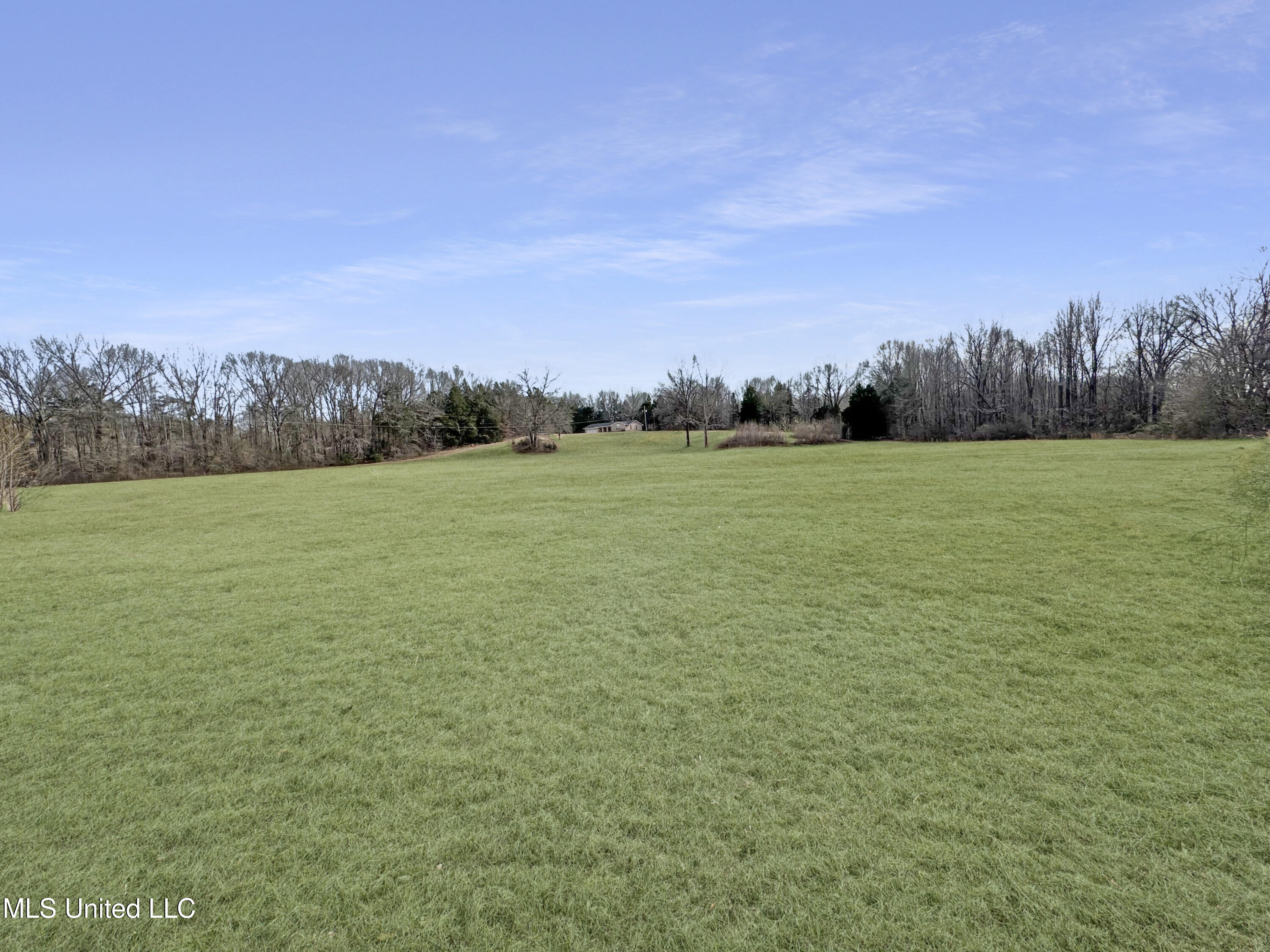 237 Liles Road Holly Springs, MS 38635 - Photo 3 of 22 IMG_1739