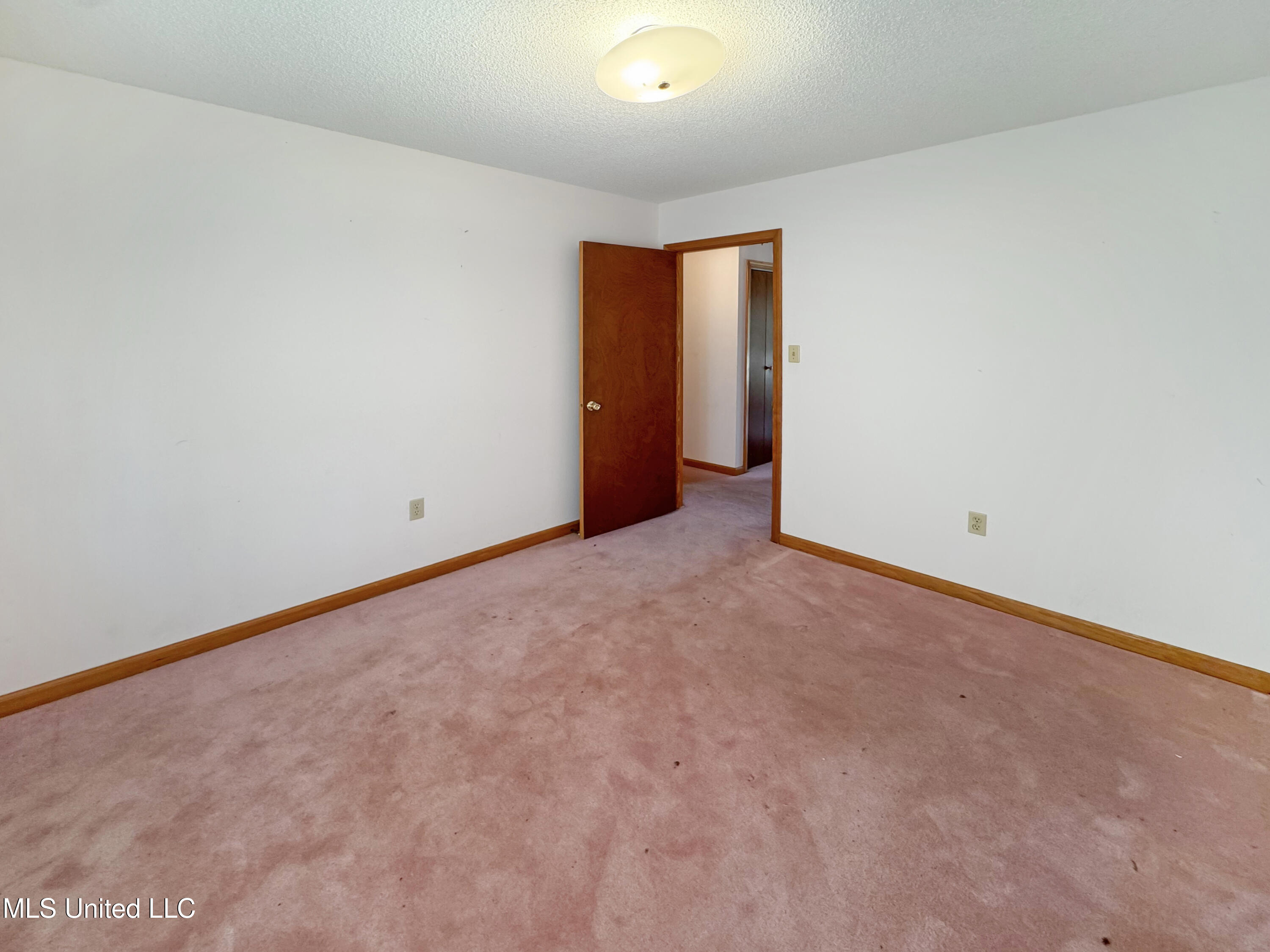 237 Liles Road Holly Springs, MS 38635 - Photo 10 of 22 IMG_1758