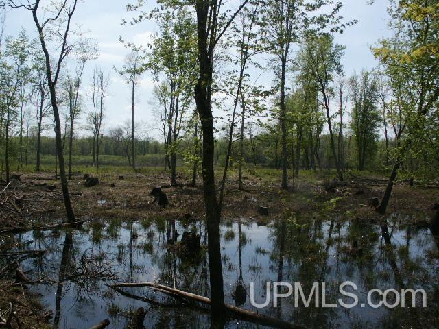 W9221 Snakey Lake Rd Lake Lake, MI 48632 - Photo 17 of 24