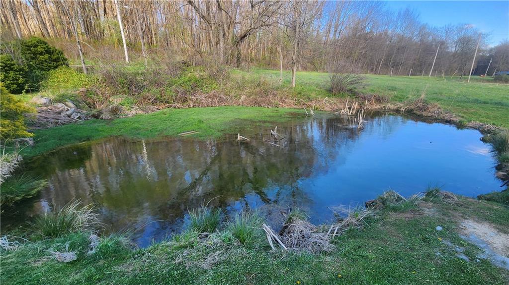 176 Duncan Road Harrisville, PA 16038 - Photo 41 of 48 pond
