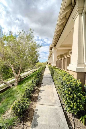 a view of a backyard with plants