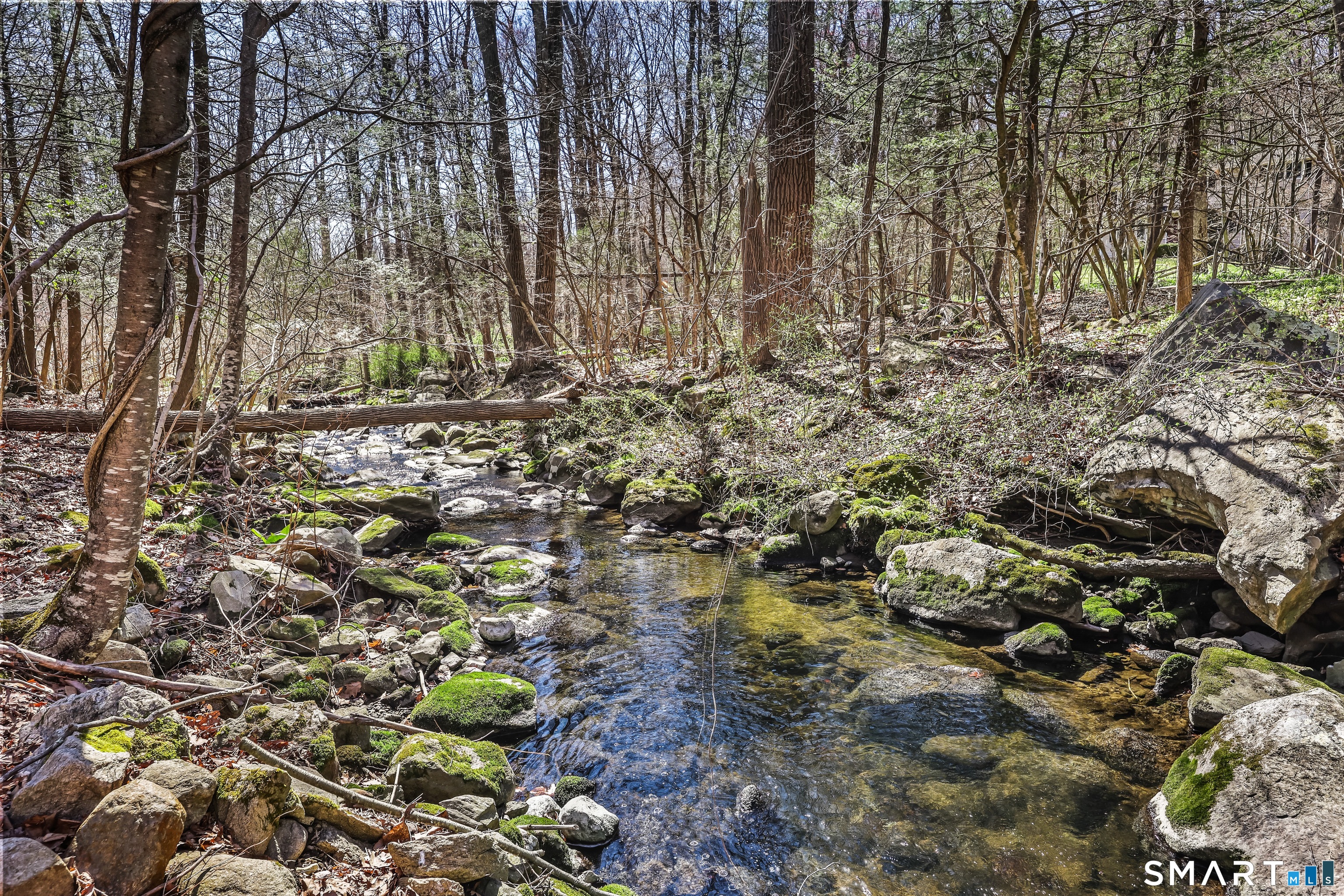 145 Wilton Road East Ridgefield, CT 06877 - Photo 33 of 37 babbling brook
