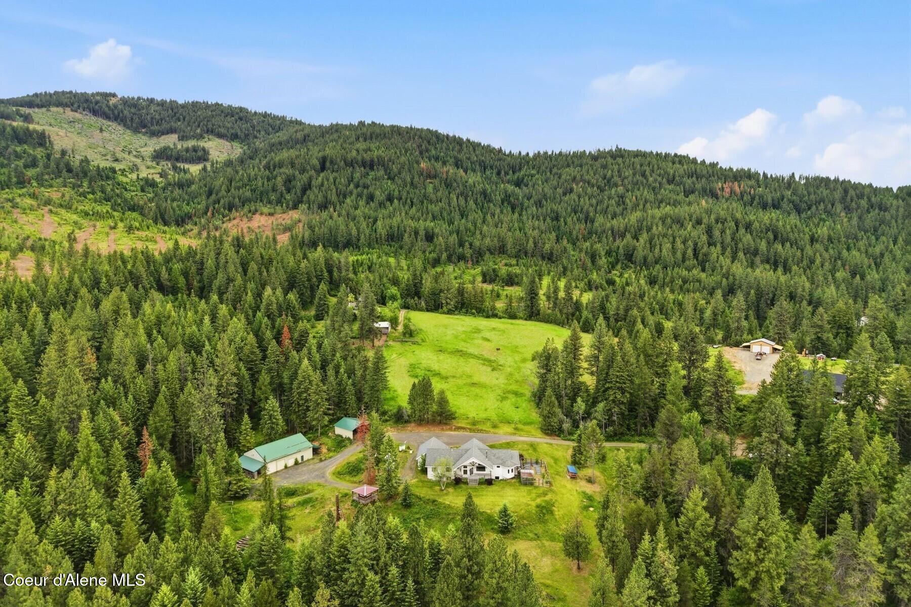 10988 West Thompson Road Coeur D'Alene, ID 83814 - Photo 5 of 71 Live in Nature!