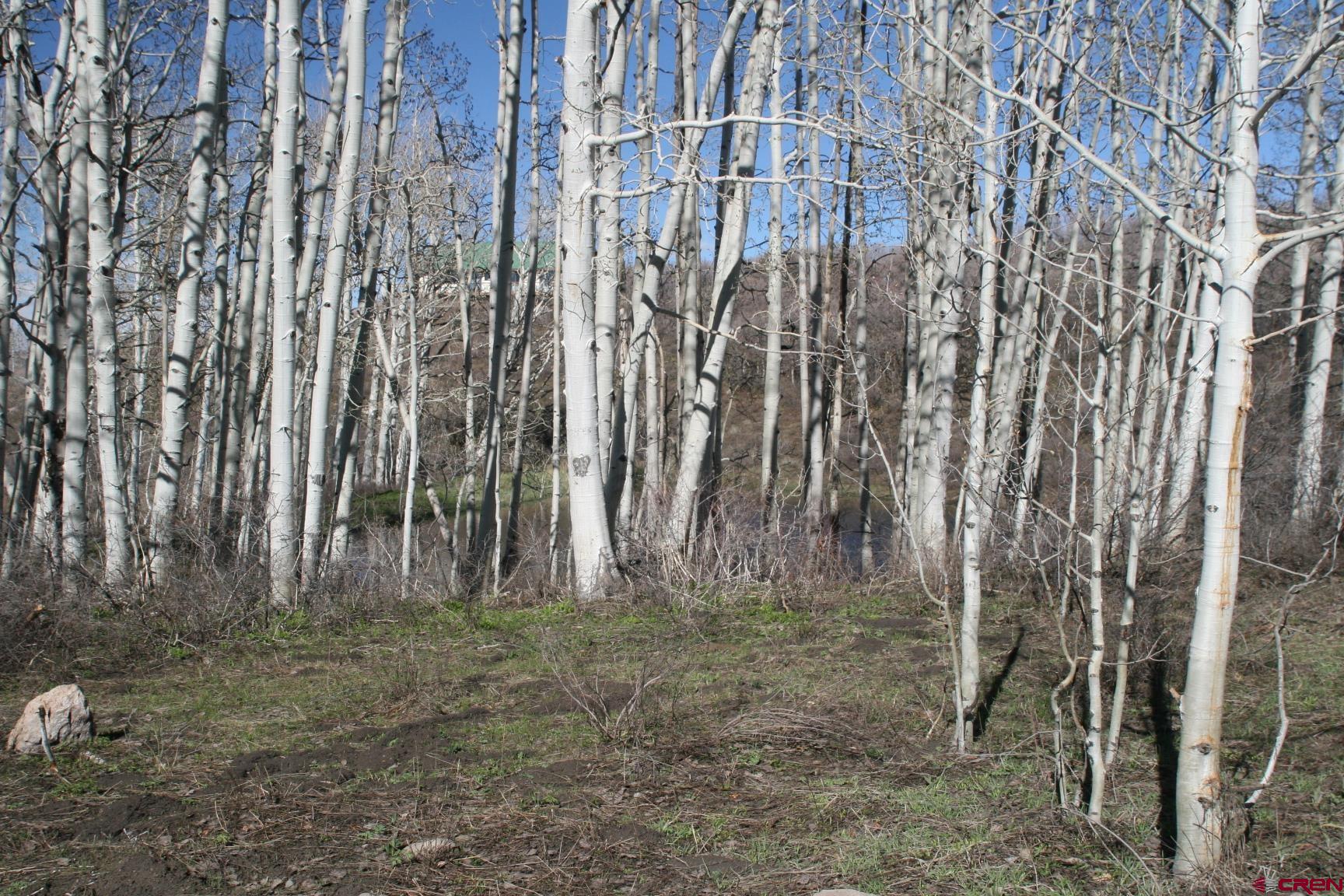 75160 Q72 Road Montrose, CO 81401 - Photo 12 of 33