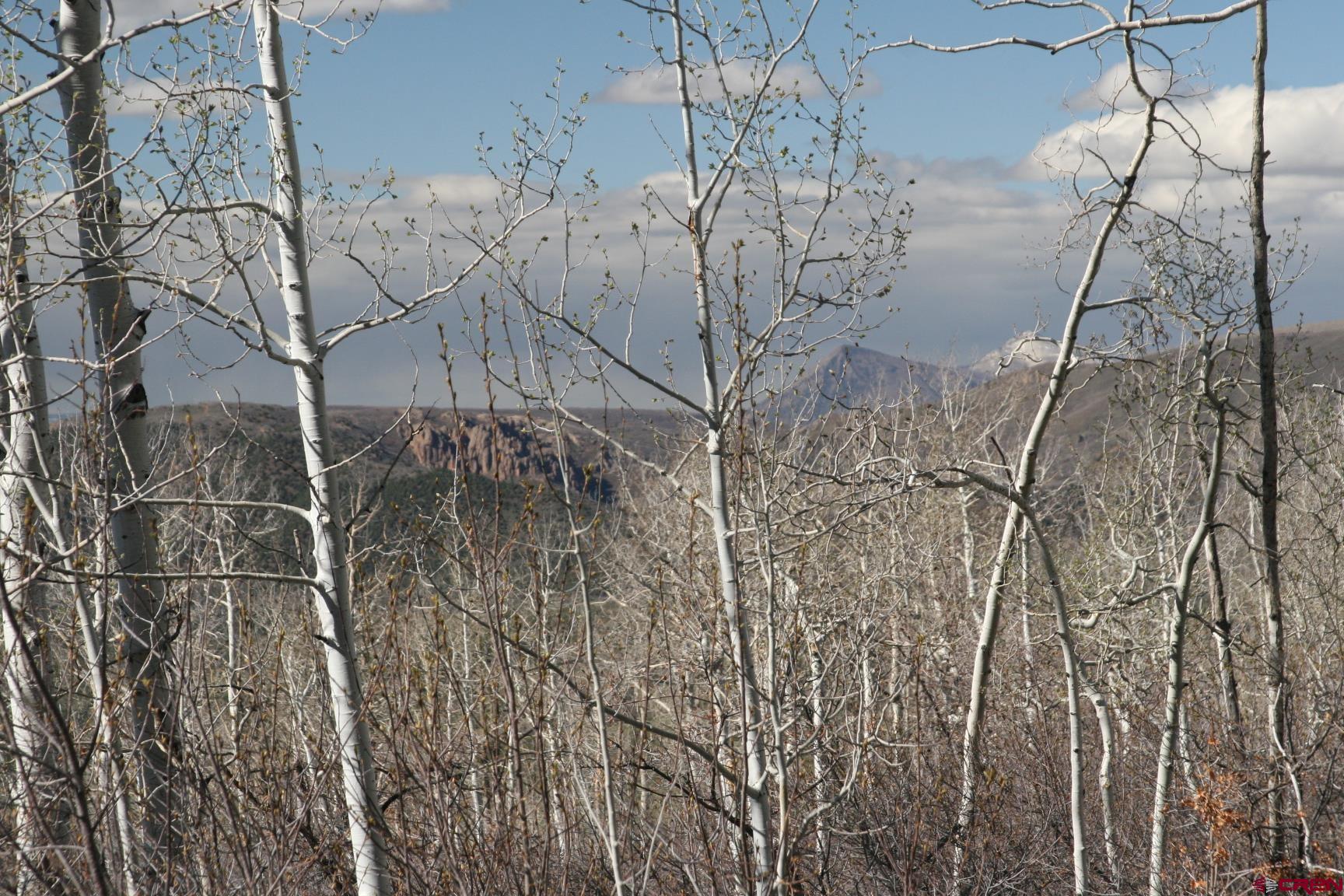 75160 Q72 Road Montrose, CO 81401 - Photo 13 of 33