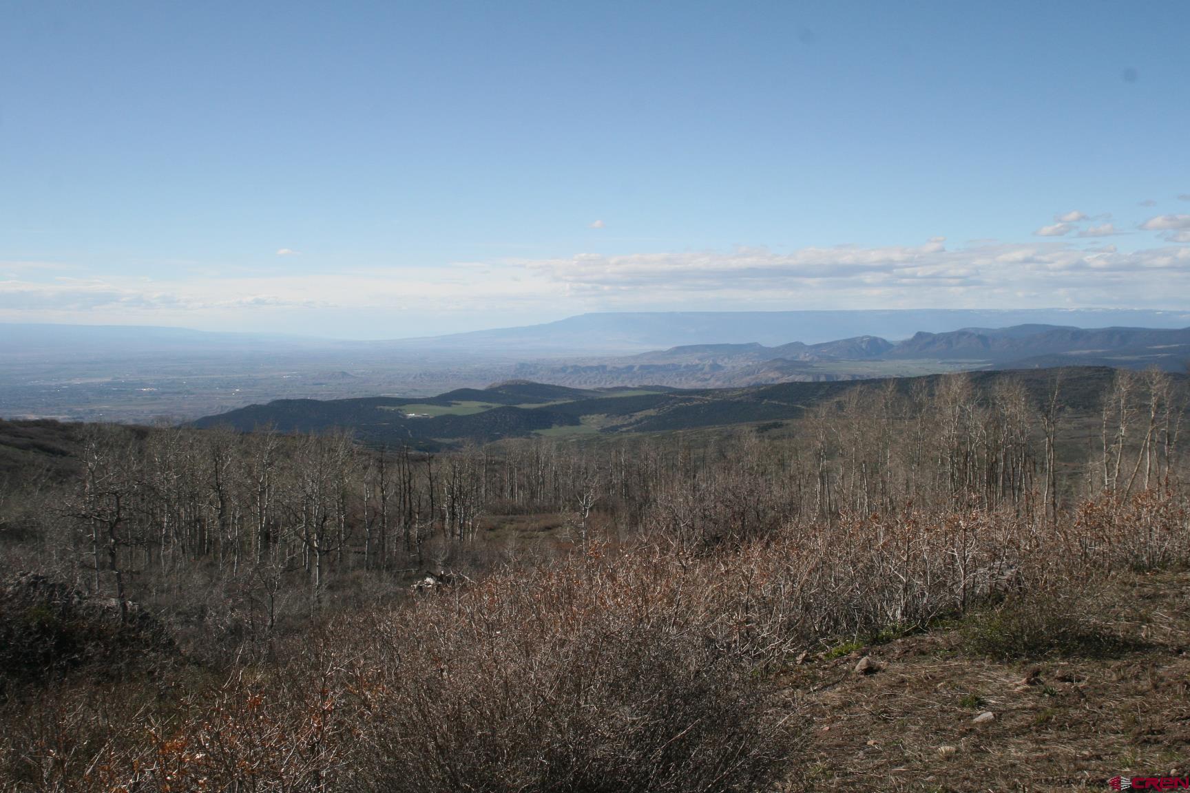 75160 Q72 Road Montrose, CO 81401 - Photo 14 of 33