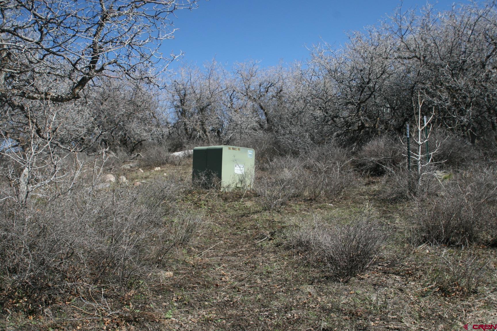 75160 Q72 Road Montrose, CO 81401 - Photo 17 of 33 a view of a outdoor space with trees