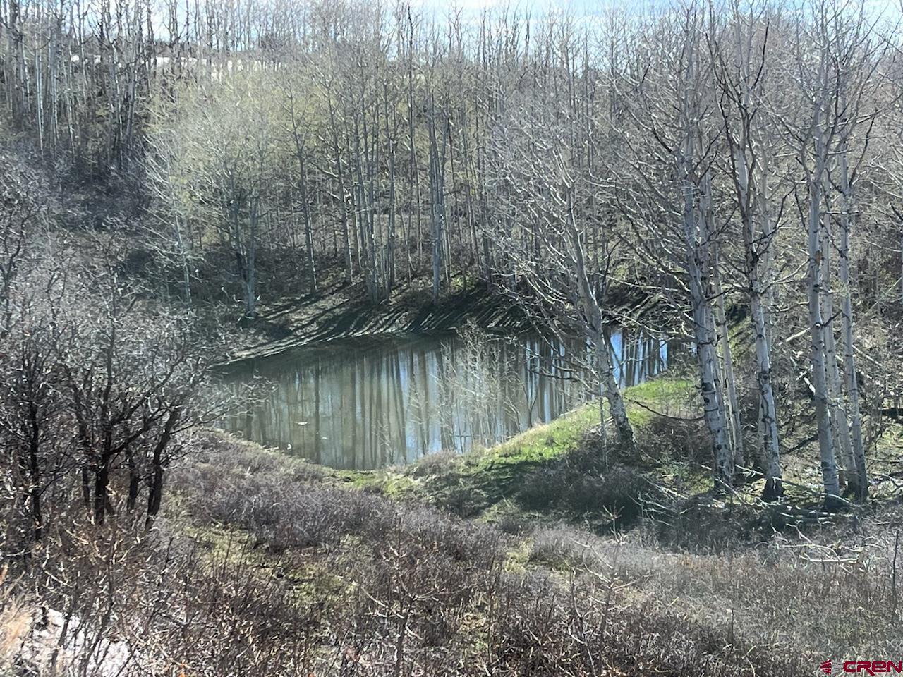 75160 Q72 Road Montrose, CO 81401 - Photo 7 of 33