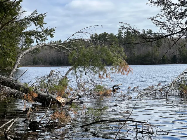 $186,000 | Lot 69 Campground Road, Searsport, ME 04974