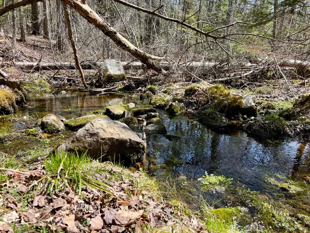 $186,000 | Lot 69 Campground Road, Searsport, ME 04974