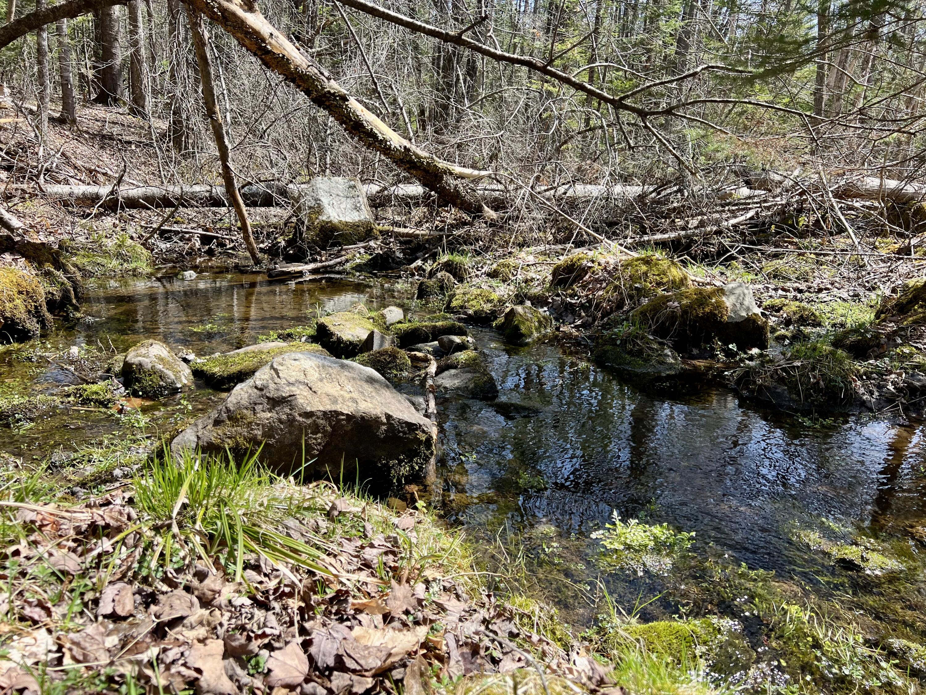 Lot 69 Campground Road Searsport, ME 04974 - Photo 18 of 46 IMG_4438