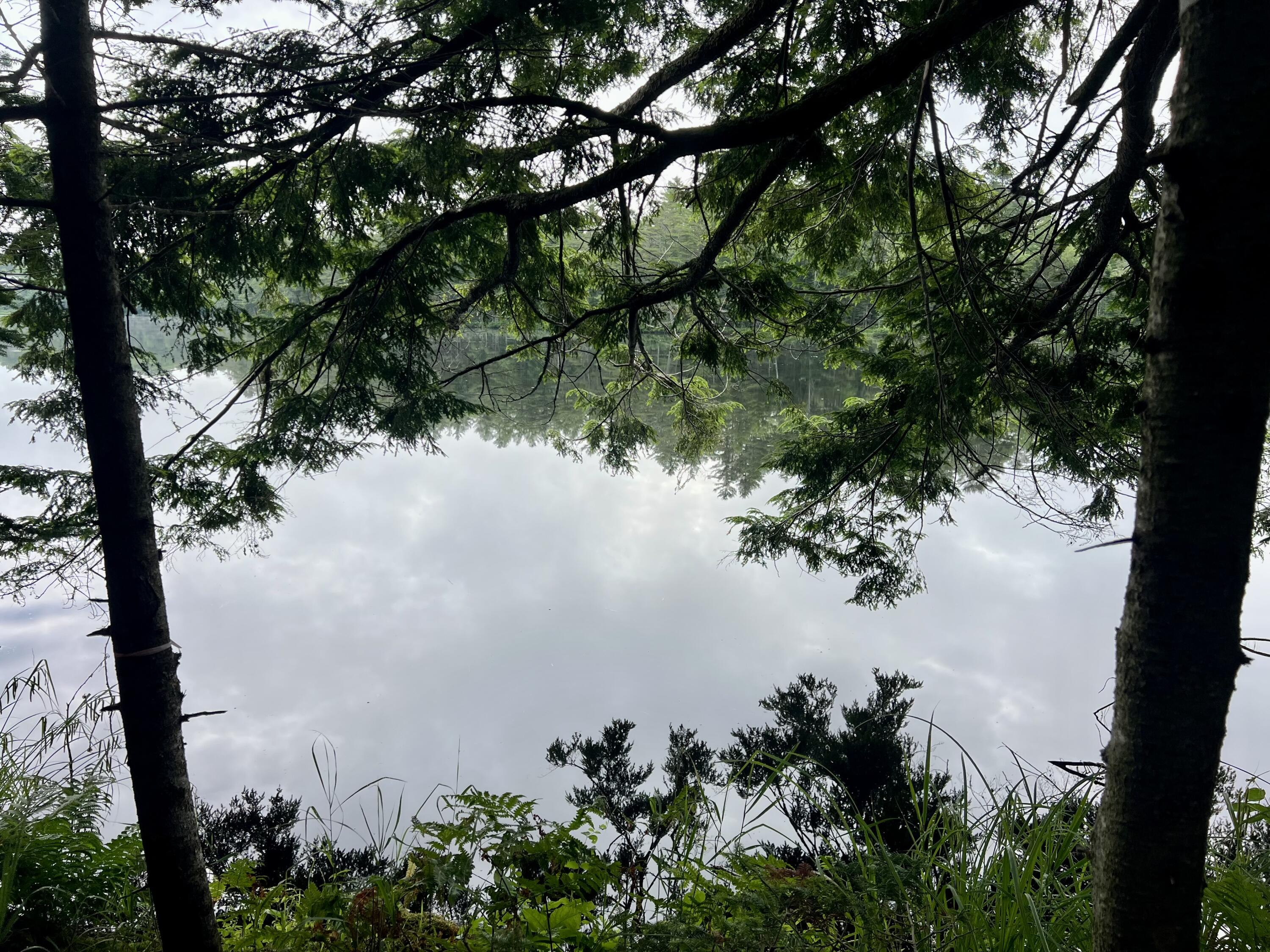 Lot 69 Campground Road Searsport, ME 04974 - Photo 23 of 46 IMG_5636