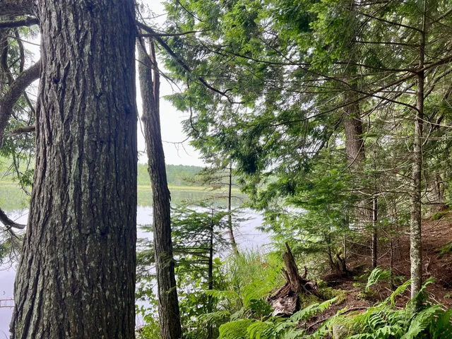 $186,000 | Lot 69 Campground Road, Searsport, ME 04974