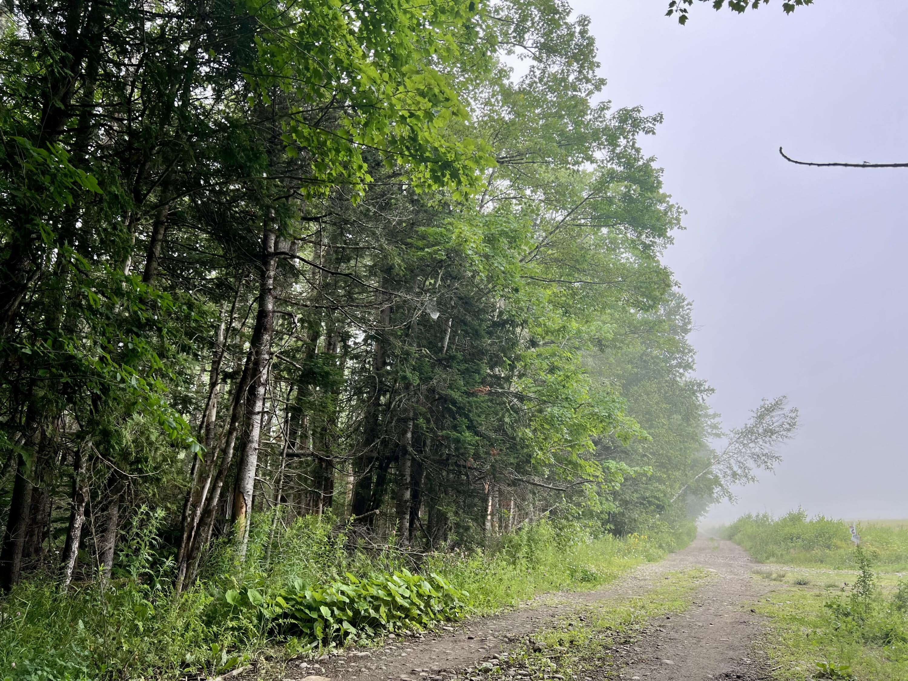 Lot 69 Campground Road Searsport, ME 04974 - Photo 27 of 46 IMG_5632
