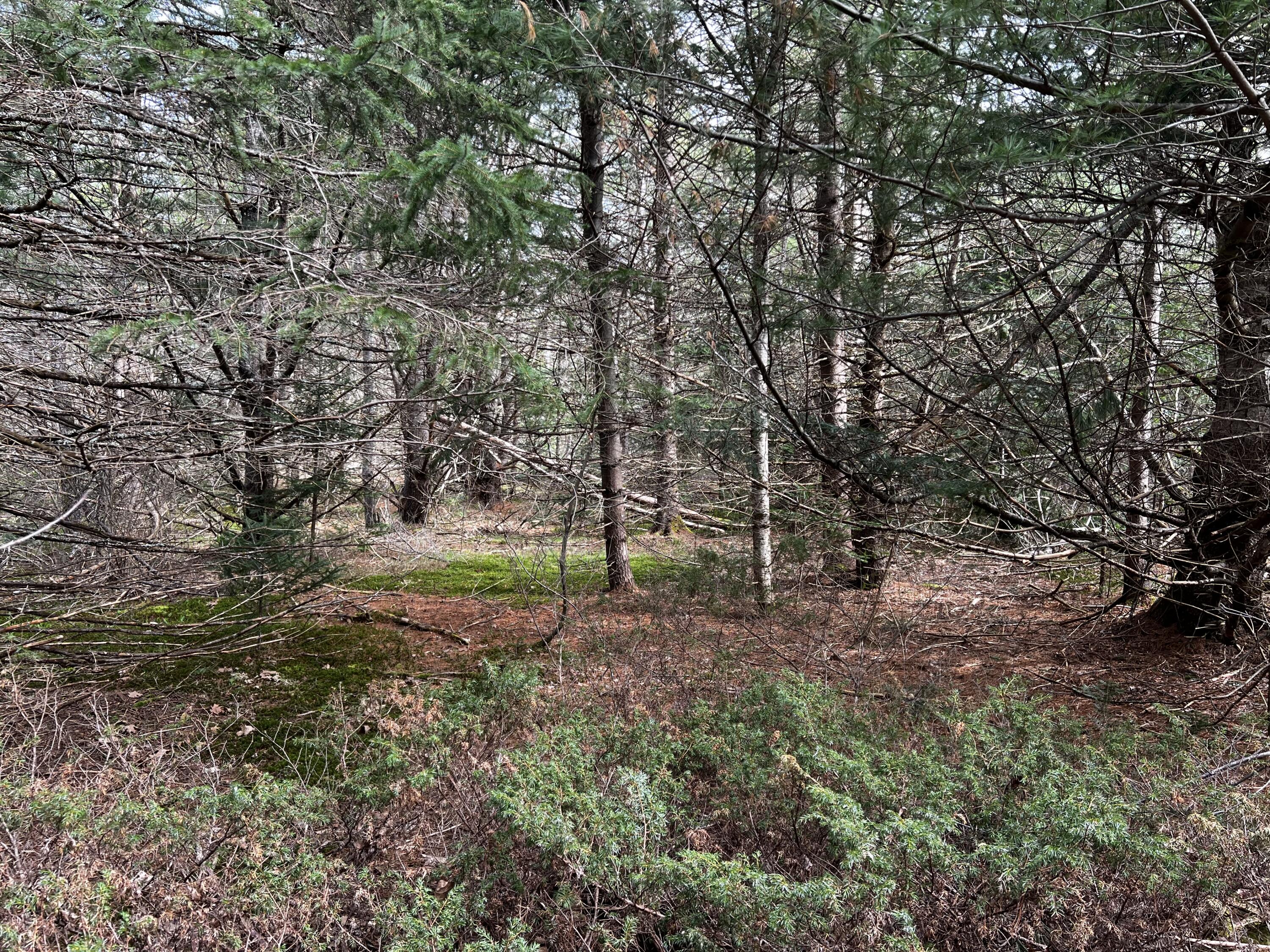 Lot 69 Campground Road Searsport, ME 04974 - Photo 3 of 46 IMG_9568