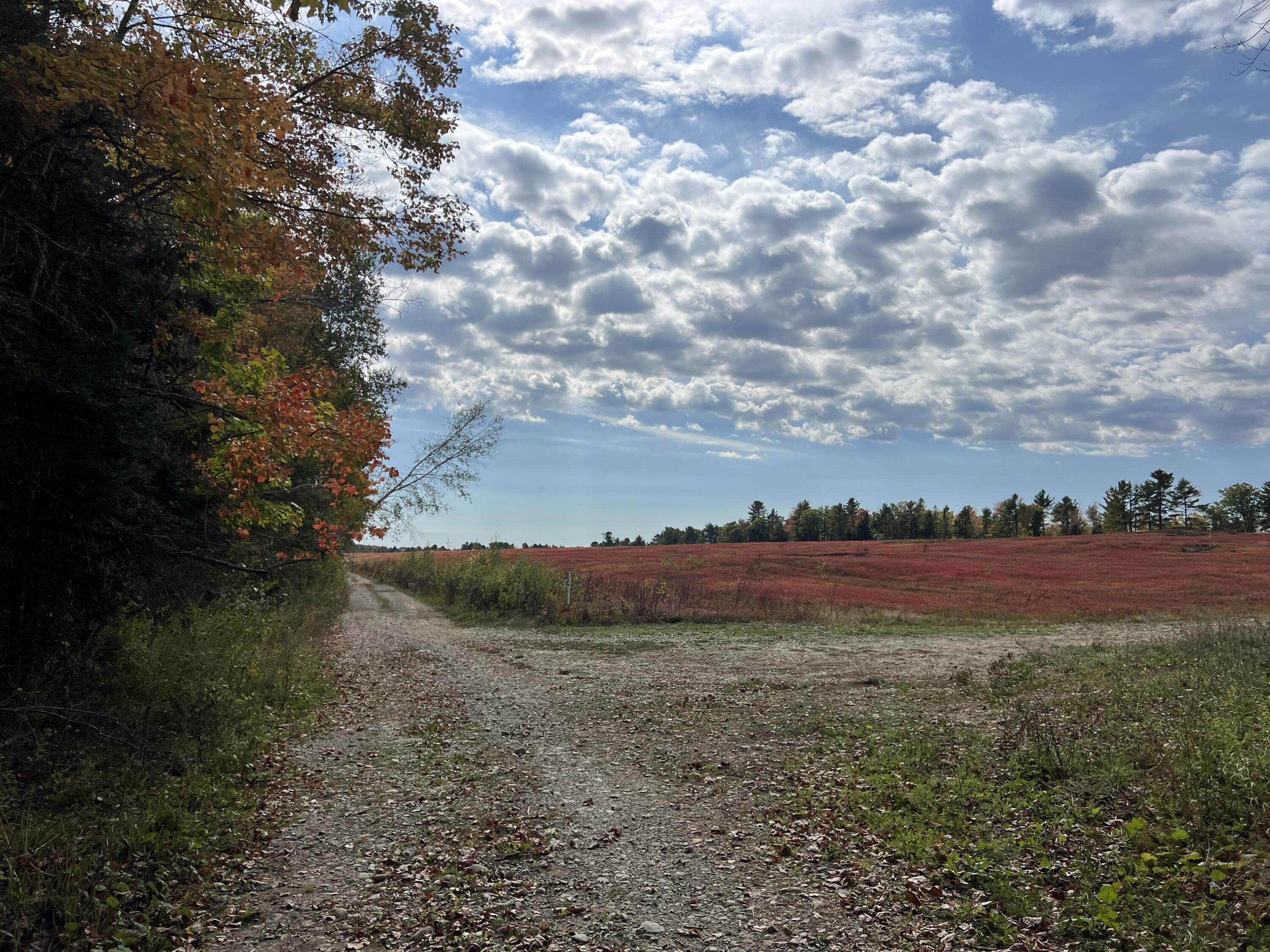 Lot 69 Campground Road Searsport, ME 04974 - Photo 33 of 46 IMG_6793
