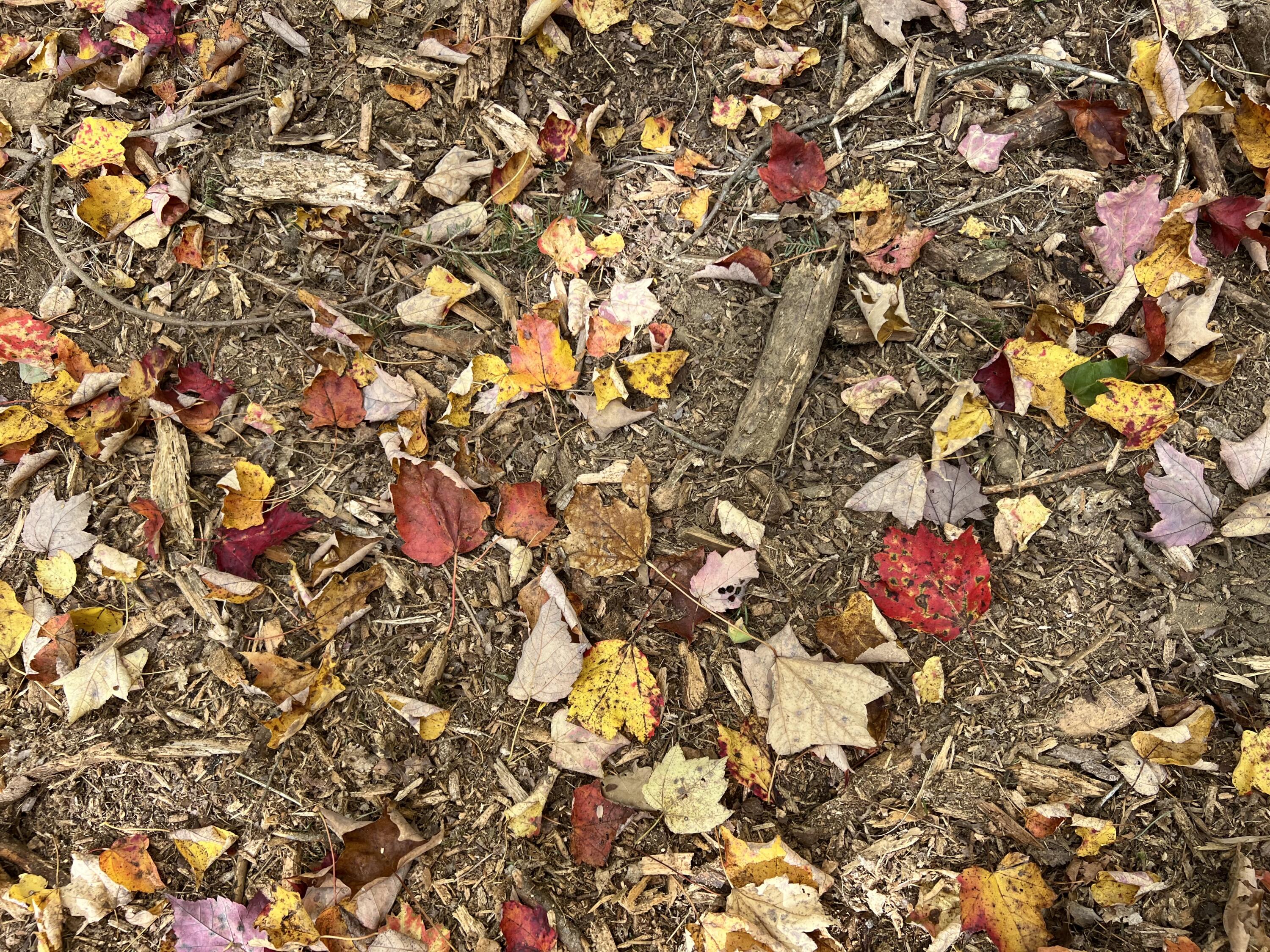 Lot 69 Campground Road Searsport, ME 04974 - Photo 35 of 46 IMG_6790