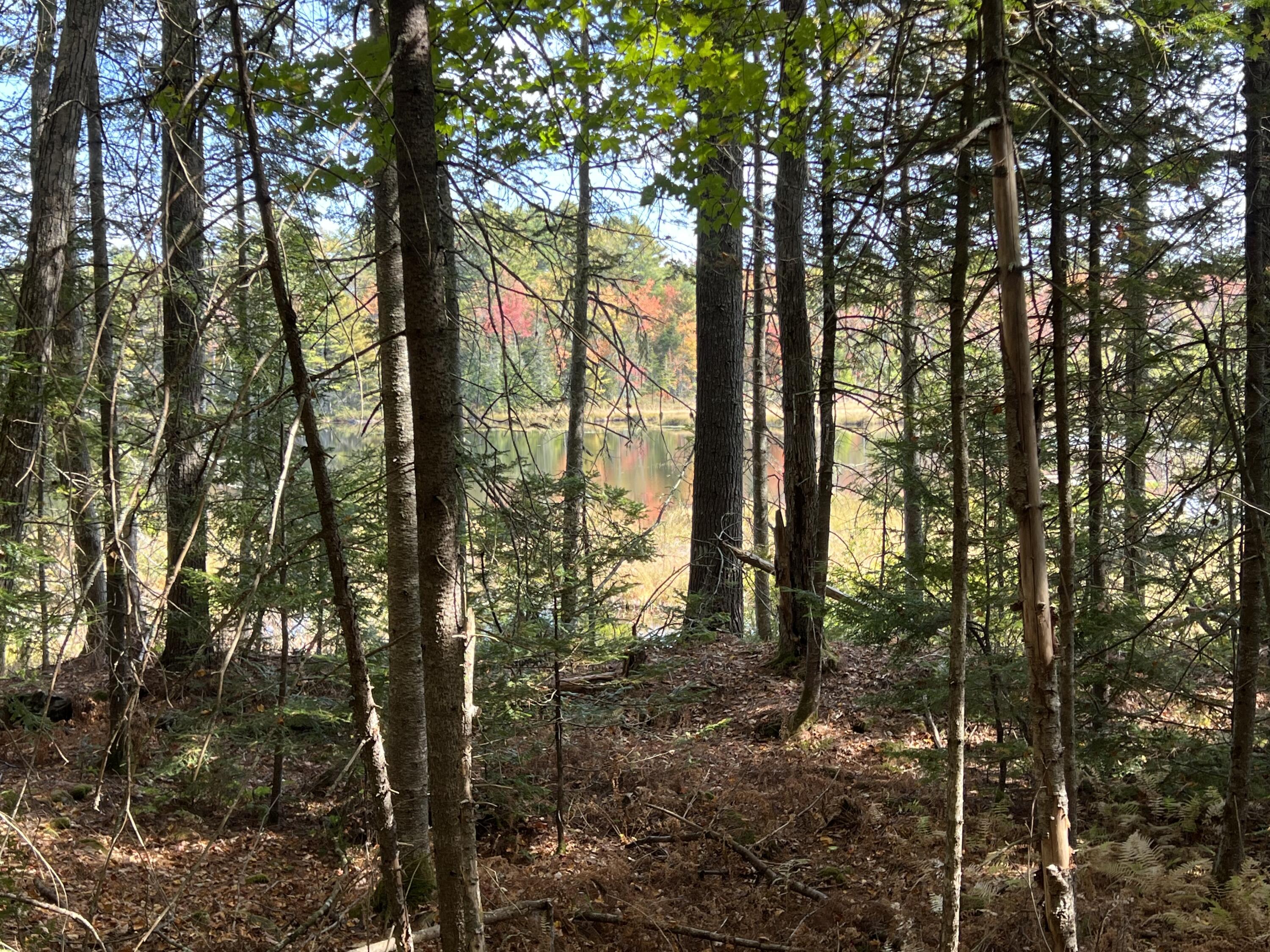 Lot 69 Campground Road Searsport, ME 04974 - Photo 43 of 46 IMG_6778