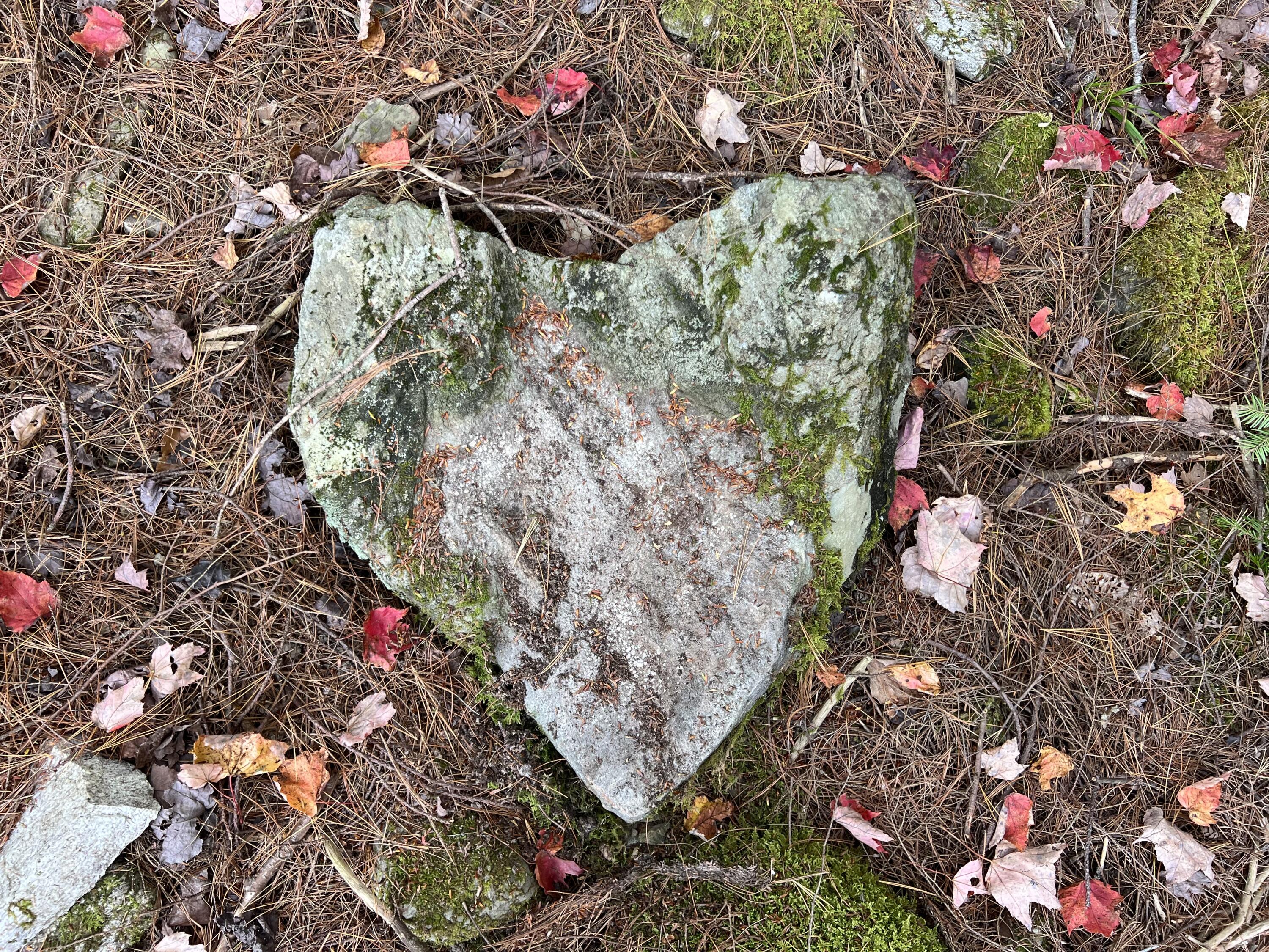 Lot 69 Campground Road Searsport, ME 04974 - Photo 45 of 46 IMG_6774