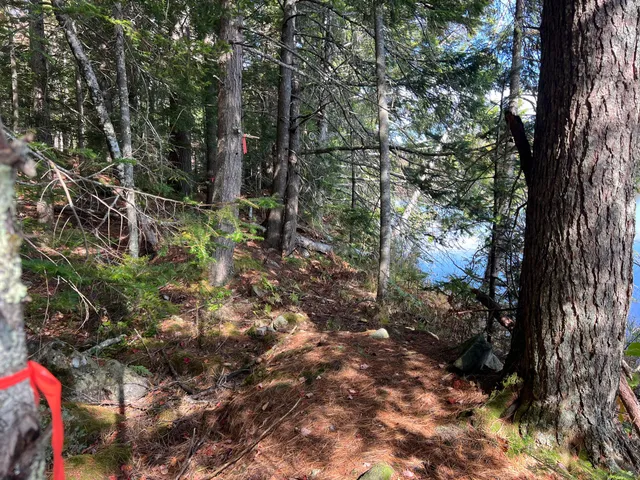 $186,000 | Lot 69 Campground Road, Searsport, ME 04974