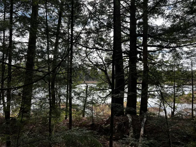 $186,000 | Lot 69 Campground Road, Searsport, ME 04974