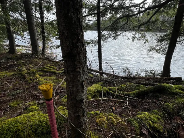 $186,000 | Lot 69 Campground Road, Searsport, ME 04974