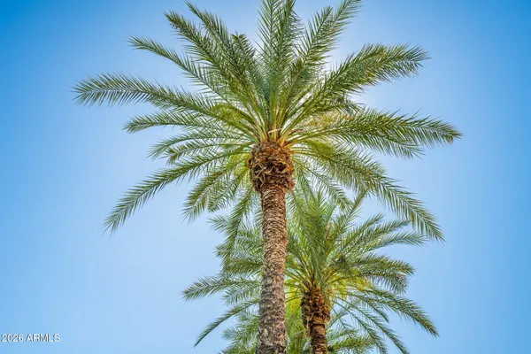 $699,000 | 16840 South 36th Place, Phoenix, AZ 85048