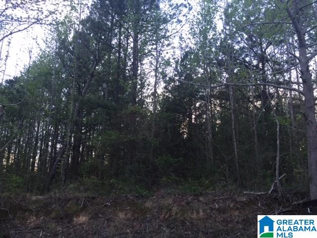 161 Shipp Road, Unit 1 Warrior, AL 35180 - Photo 1 of 2