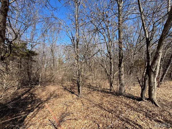 $245,000 | 18046 Monroe Road 453, Paris, MO 65275