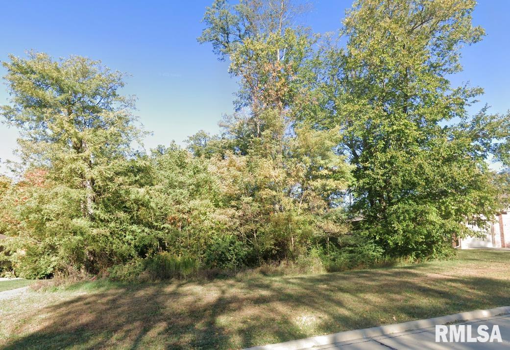 106 Ruth Court Washington, IL 61571 - Photo 1 of 1 Gallery Image 1