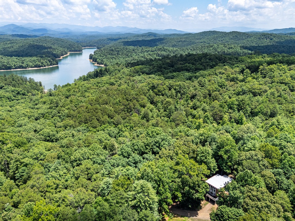 860 Holly Road Murphy, NC 28906 - Photo 54 of 62