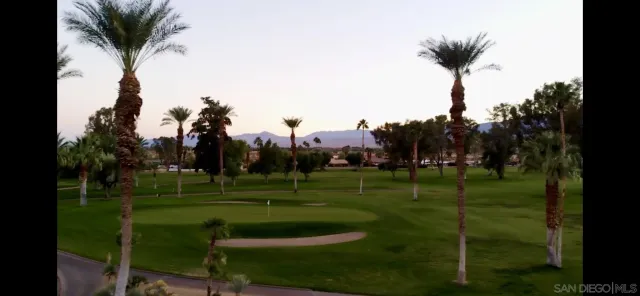 a view of a park and a big yard