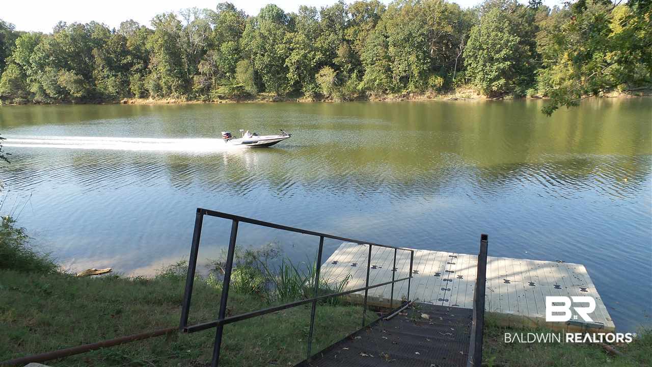 21 Jimmie Phillips Road Sawyerville, AL 36776 - Photo 9 of 41