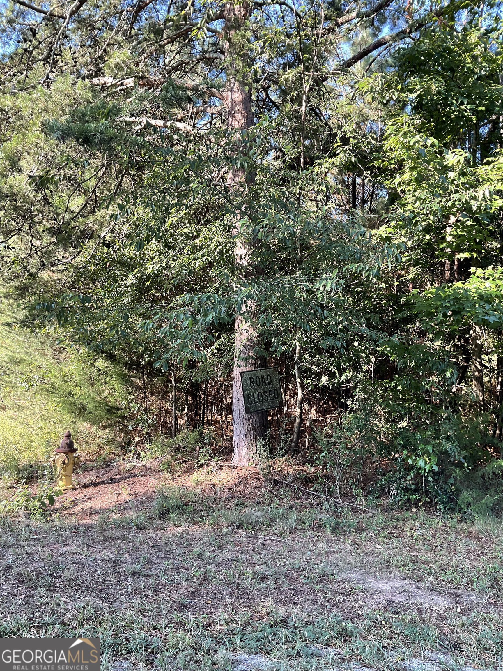 0 Bowers Street, Unit LOT 18 Bowman, GA 30624 - Photo 3 of 8 a view of a forest filled with trees