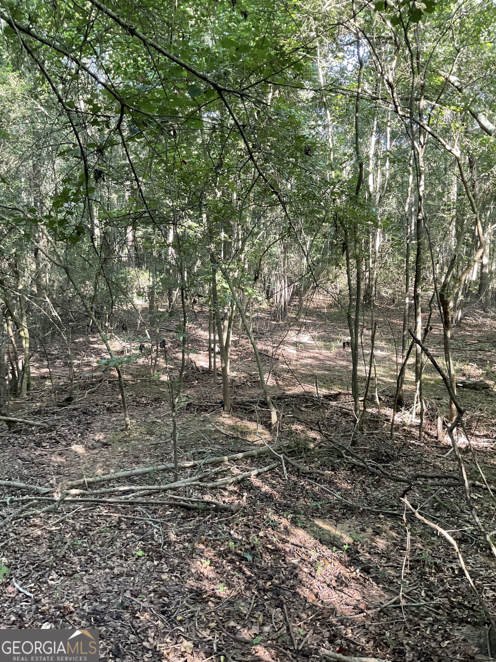 0 Bowers Street, Unit LOT 18 Bowman, GA 30624 - Photo 5 of 8 a big yard with lots of green space