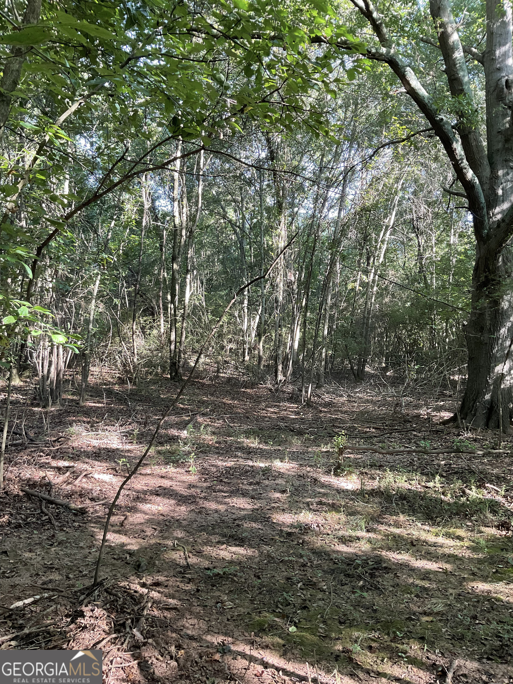 0 Bowers Street, Unit LOT 18 Bowman, GA 30624 - Photo 6 of 8 a view of outdoor space with trees